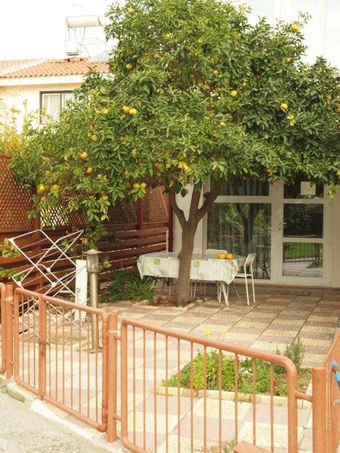 Moon-Light Studio Hotel Larnaca Bagian luar foto