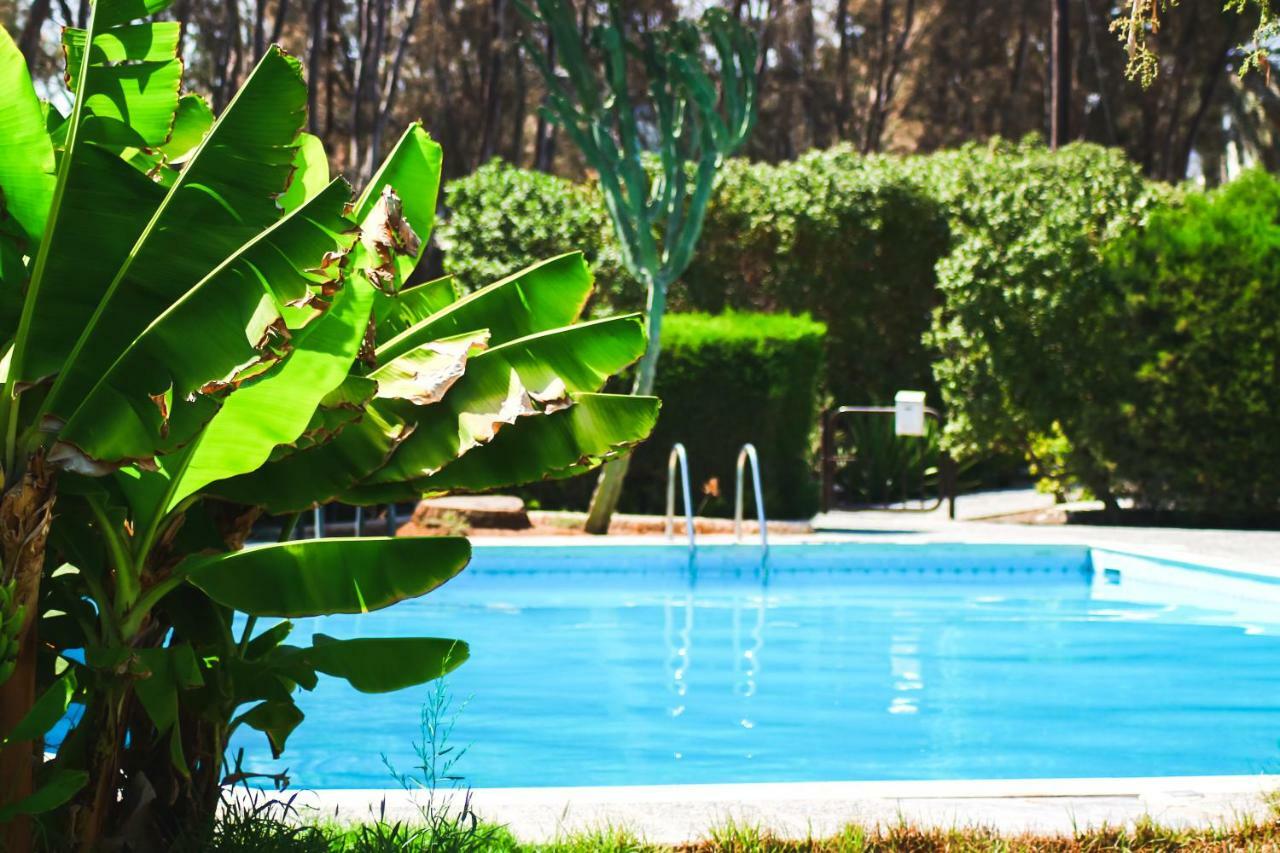 Moon-Light Studio Hotel Larnaca Bagian luar foto